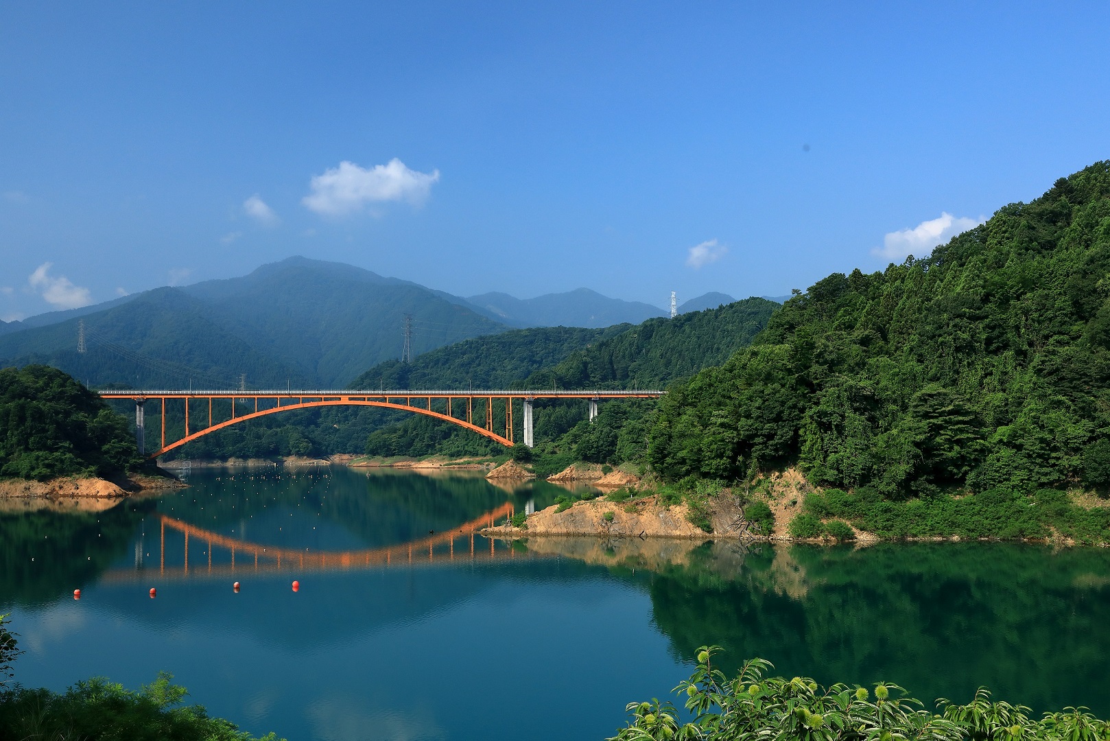 虹の大橋｜体験・観光スポット | 【公式】神奈川県のお出かけ・観光・旅行サイト「観光かながわNOW」